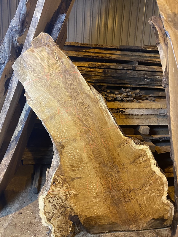 Waney Edge Burr Oak Slab Nelson Butler & Son Ltd