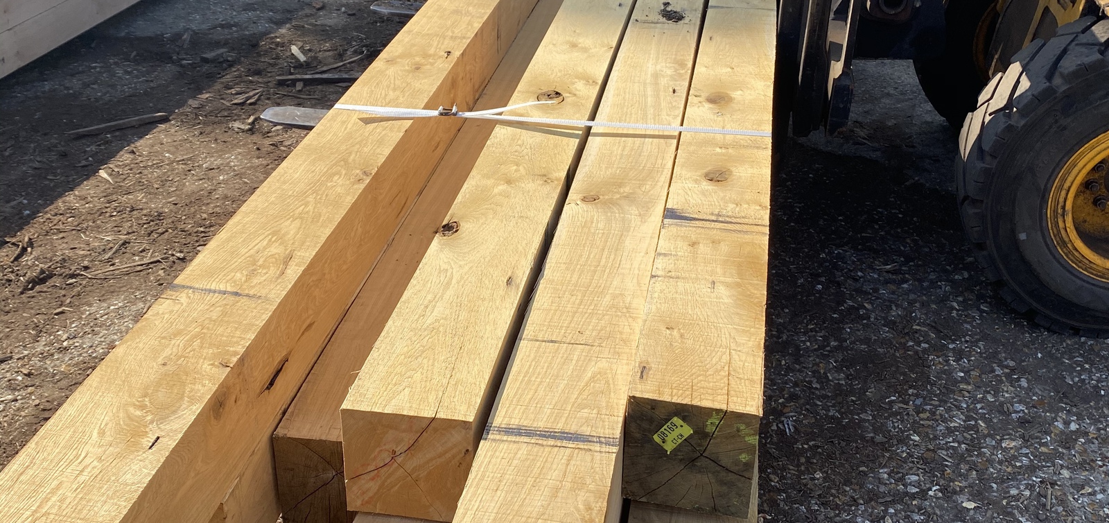 Green oak beams 
