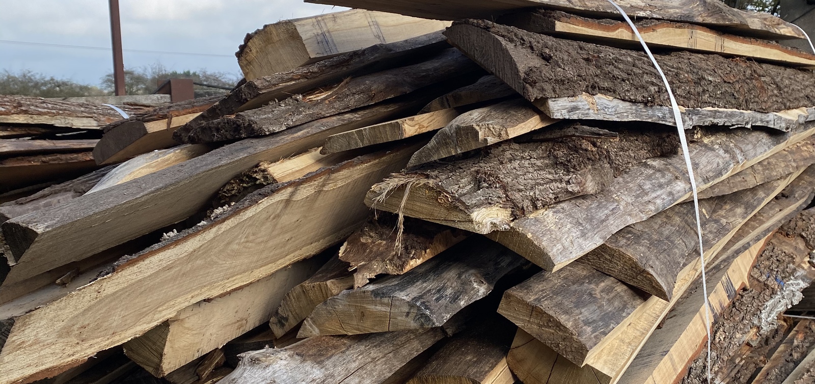 Firewood bundle 