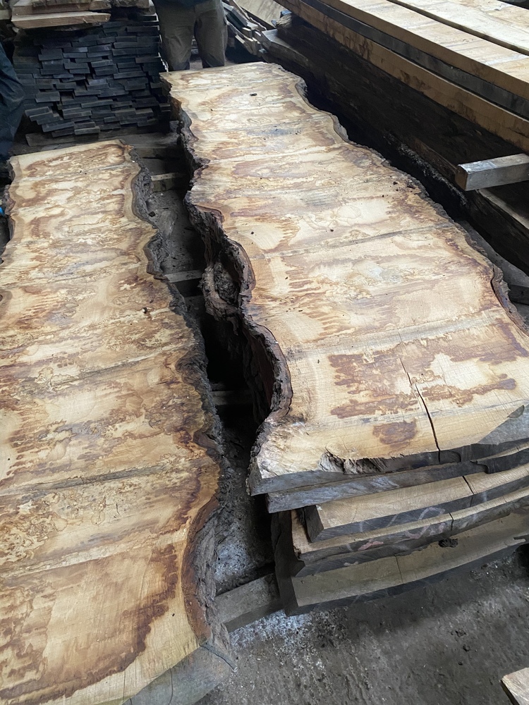Heavy pip oak log 