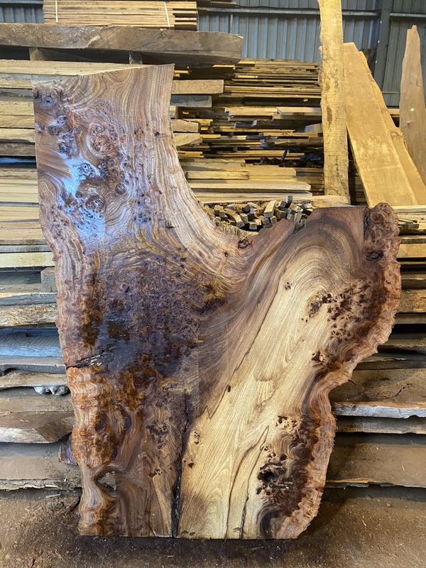 Burr Elm Slab Nelson Butler & Son Ltd