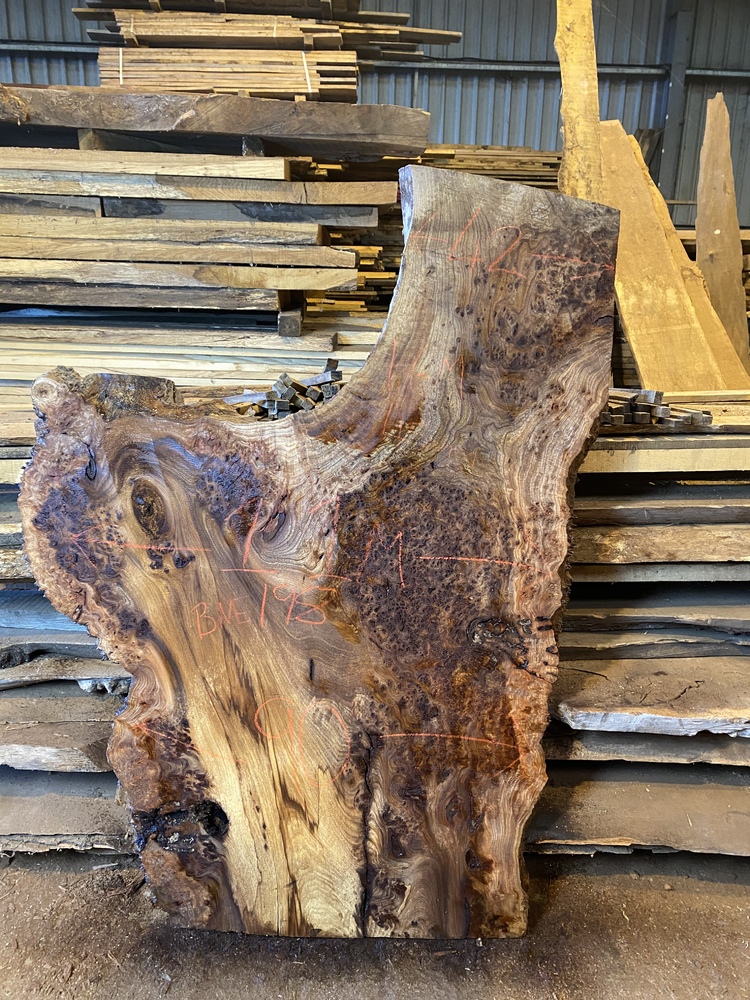 Burr Elm Slab Nelson Butler & Son Ltd