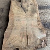 Walnut logs 