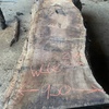 Waney edge walnut 