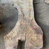 English walnut