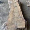 English walnut