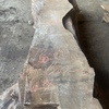English walnut 