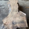 English walnut 