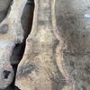 English walnut