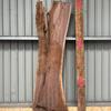 American Black Walnut Board, suitable for high-quality furniture making, table tops, benches, kiln-dried, with waney edge