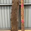 Pippy Oak board, suitable for high-quality furniture making, table tops, benches, kiln-dried, with waney edge