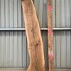 Rippled English walnut, waney edge, flattened, kiln dried, specialised timber, furniture making