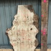 Mappa Burr board, suitable for high-quality furniture making, table tops, benches, kiln-dried, waney edge