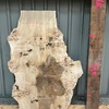 Mappa Burr board, suitable for high-quality furniture making, table tops, benches, kiln-dried, waney edge