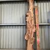Burr Elm board, suitable for high-quality furniture making, table tops, benches, kiln-dried, waney edge