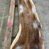 European Walnut board, suitable for high-quality furniture making, table tops, benches, kiln-dried, waney edge