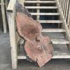 Burr Elm board, suitable for high-quality furniture making, table tops, benches, kiln-dried, waney edge