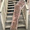 Burr Elm board, suitable for high-quality furniture making, table tops, benches, kiln-dried, waney edge