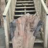 Pippy Elm board, suitable for high-quality furniture making, table tops, benches, kiln-dried, waney edge