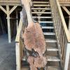 Burr Elm board, suitable for high-quality furniture making, table tops, benches, kiln-dried, waney edge