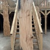 Elm board, suitable for high-quality furniture making, table tops, benches, kiln-dried, waney edge