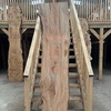 Elm board, suitable for high-quality furniture making, table tops, benches, kiln-dried, waney edge
